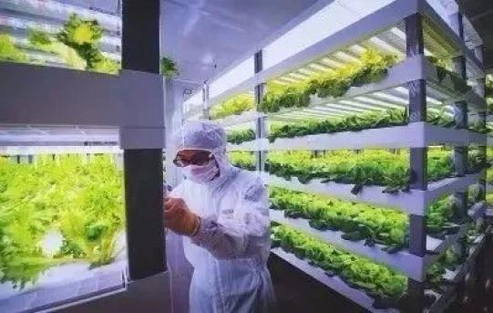 安溪两家企业入选省重点上市后备名单，照明节能领域展现绿色竞争力